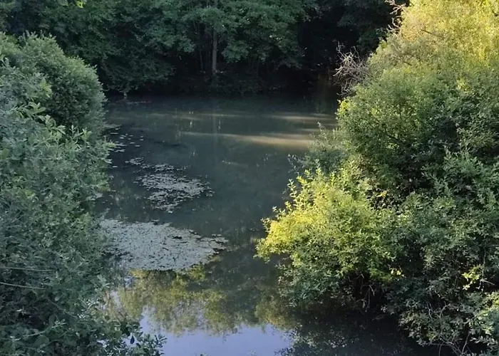 Maison Cocoon Et Chaleureuse Hébergement de vacances Marcilly-sur-Seine